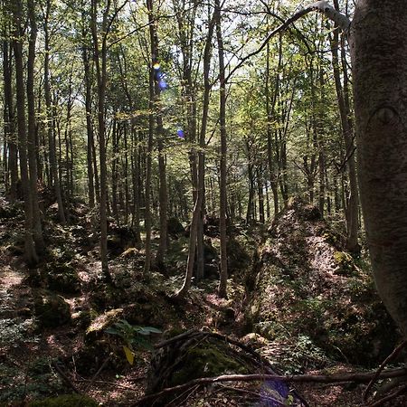 Albergo Parco Della Maiella Sant'Eufemia a Maiella Bagian luar foto