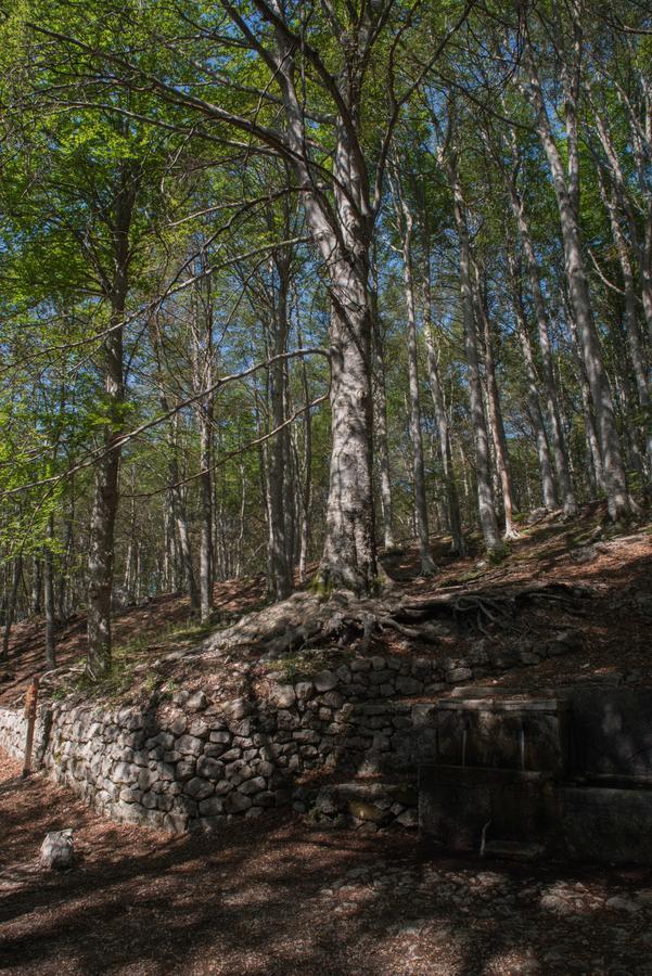 Albergo Parco Della Maiella Sant'Eufemia a Maiella Bagian luar foto